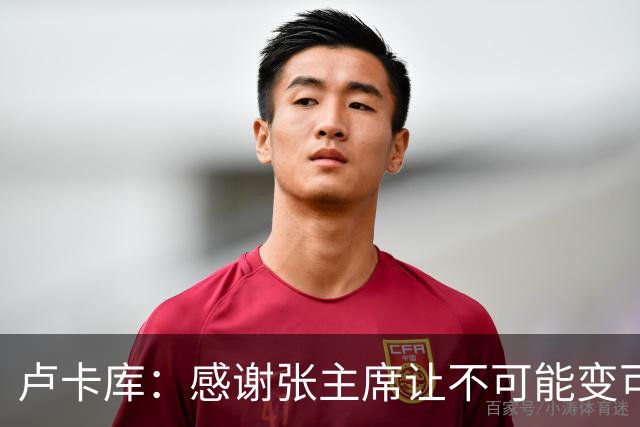 卢卡库：感谢张主席让不可能变可能 会全力帮国米