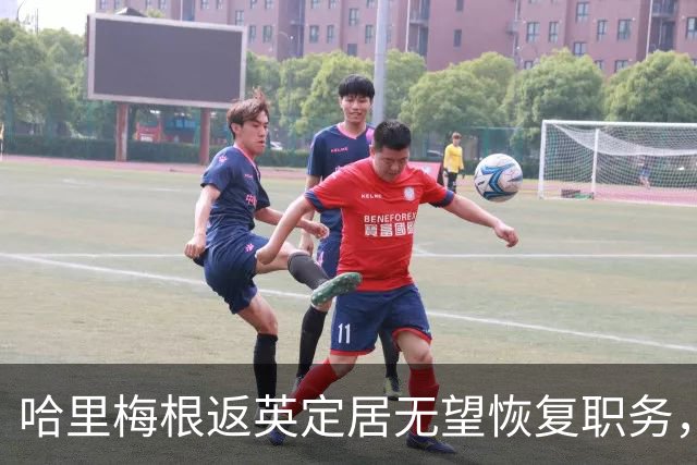 哈里梅根返英定居无望恢复职务，白金汉宫明确其仍属非在职成员