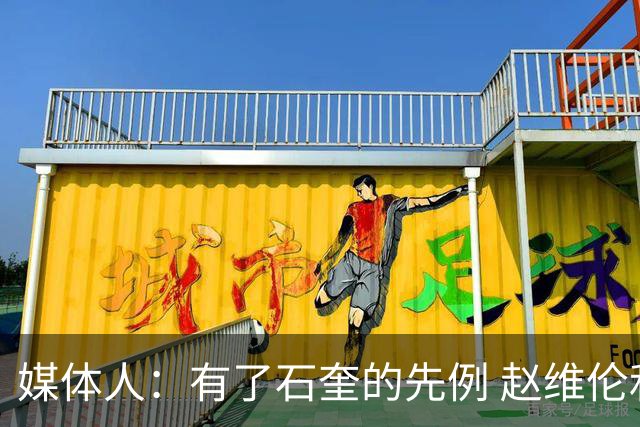 媒体人：有了石奎的先例 赵维伦和王俊杰未来想回CBA路也宽了很多