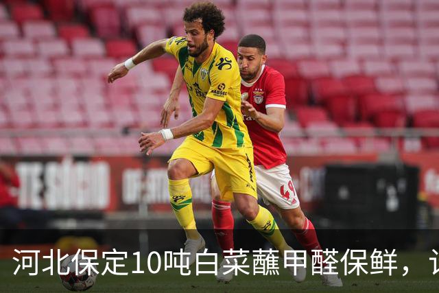 河北保定10吨白菜蘸甲醛保鲜，计划运往京津，收购商当场被抓